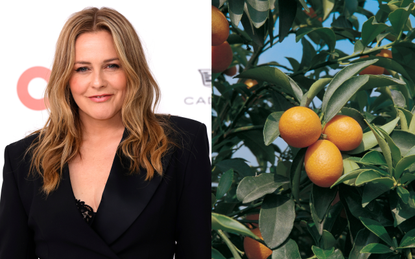A split image with a headshot of Alicia Silverstone looking at the camera and a close up photo of a kumquat tree