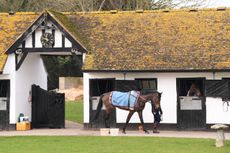 The Lambourne stables of Nicky Henderson are among the places opening their doors.