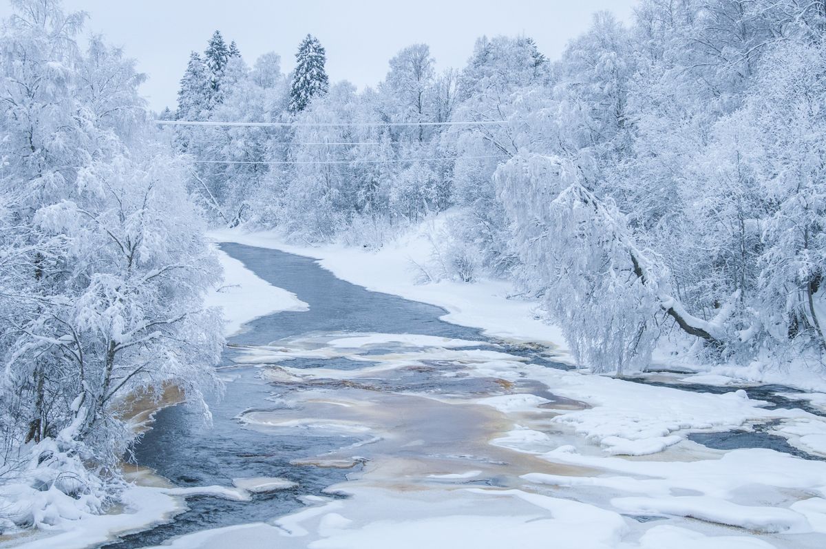 Guru's Top Pick: Per Hultebrand - Sweden