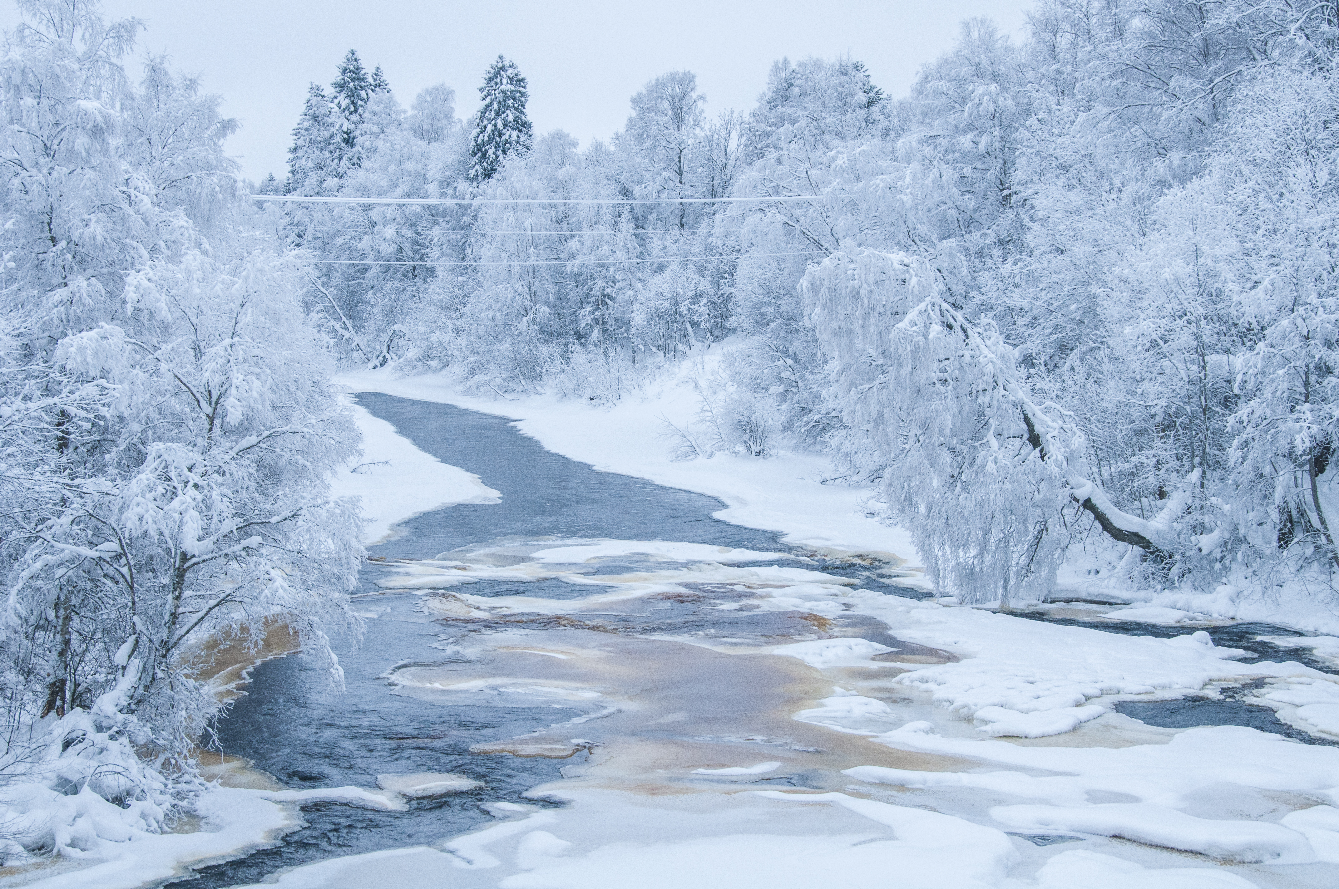 Guru's Top Pick – #3: Per Hultebrand (Sweden)
