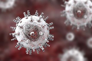 An illustration of herpes viruses.