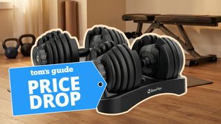 BowFlex Results Series 552 SelectTech show in home gym