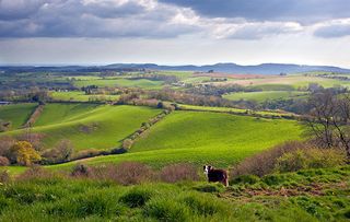 Waddon Hill, Dorset