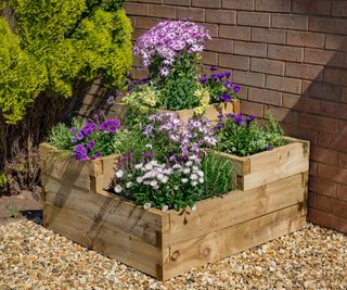 Caledonian Tiered Raised Bed