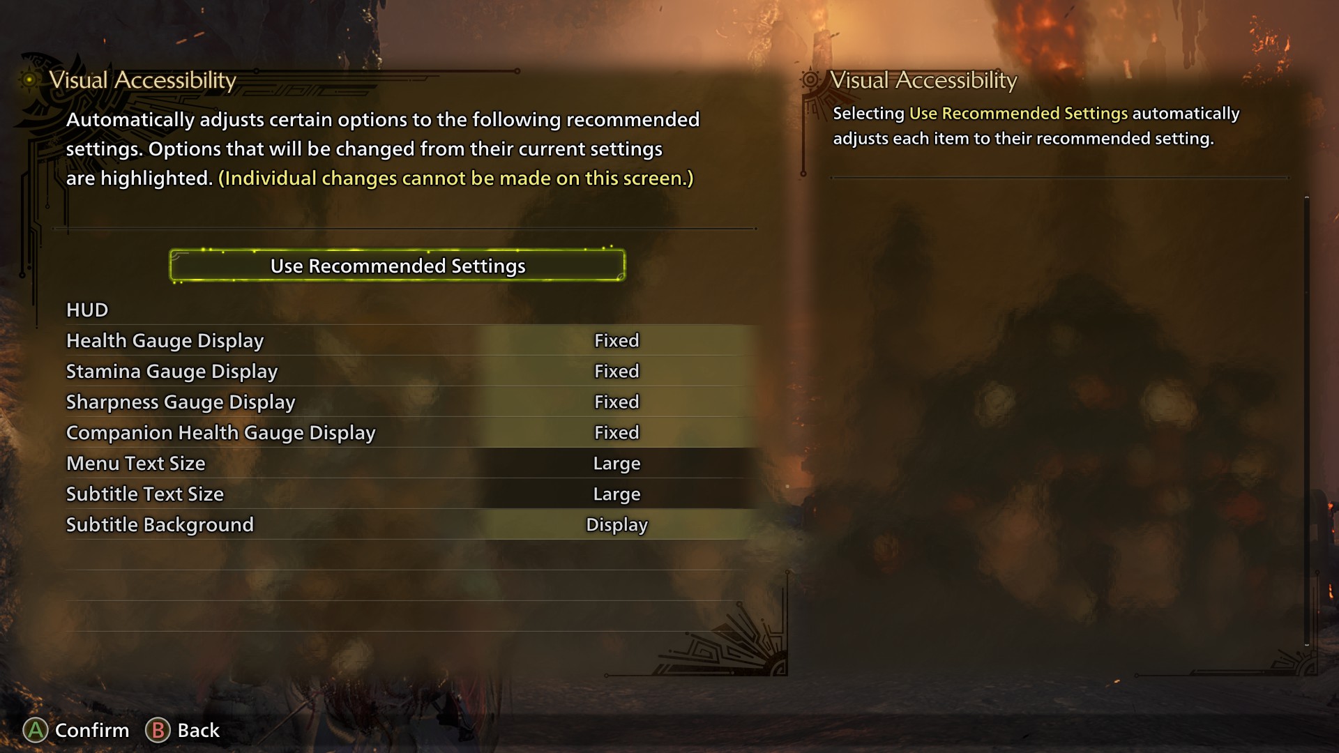 Monster Hunter Wilds accessibility options