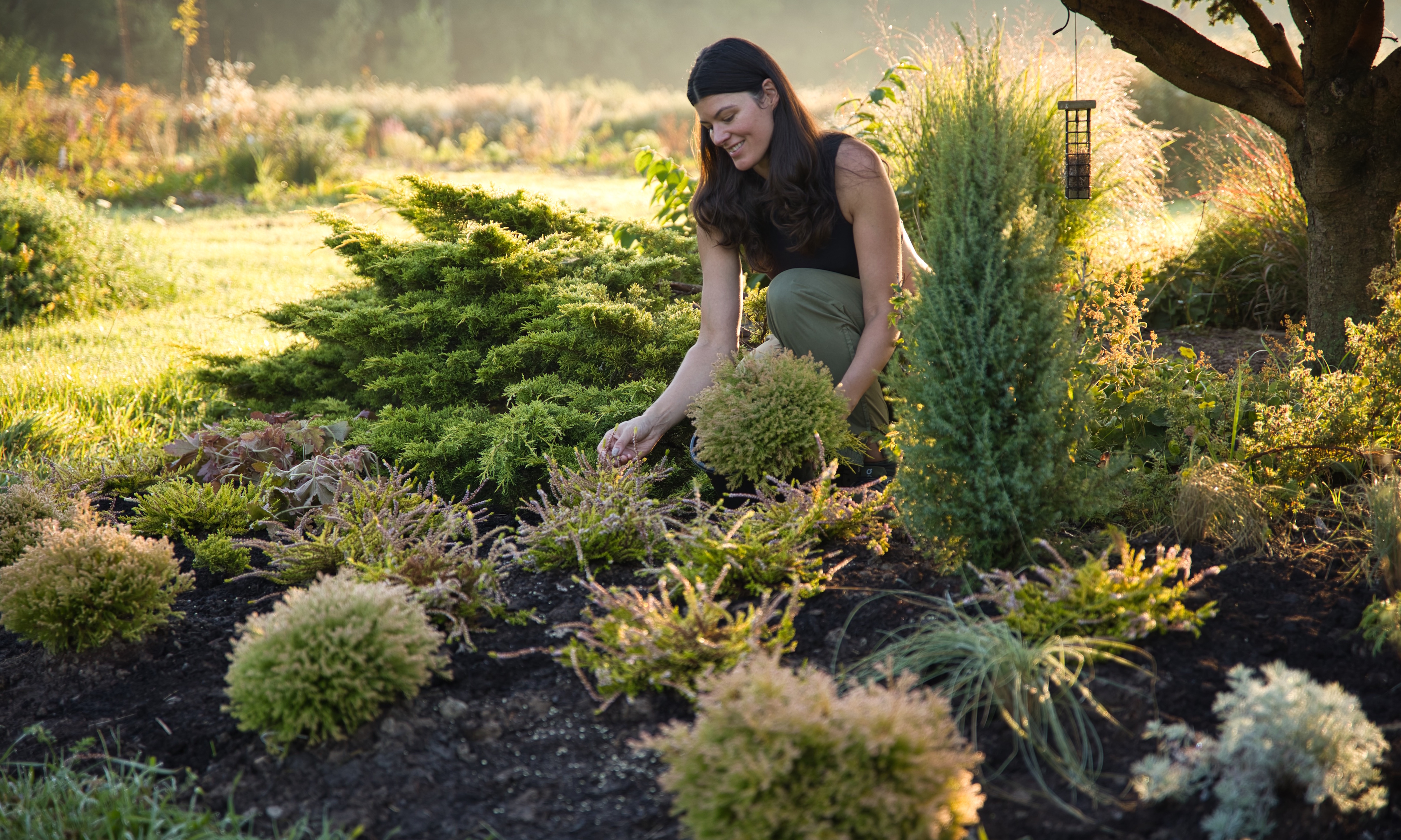 Summer Rayne Oakes planting at Flock Finger Lakes