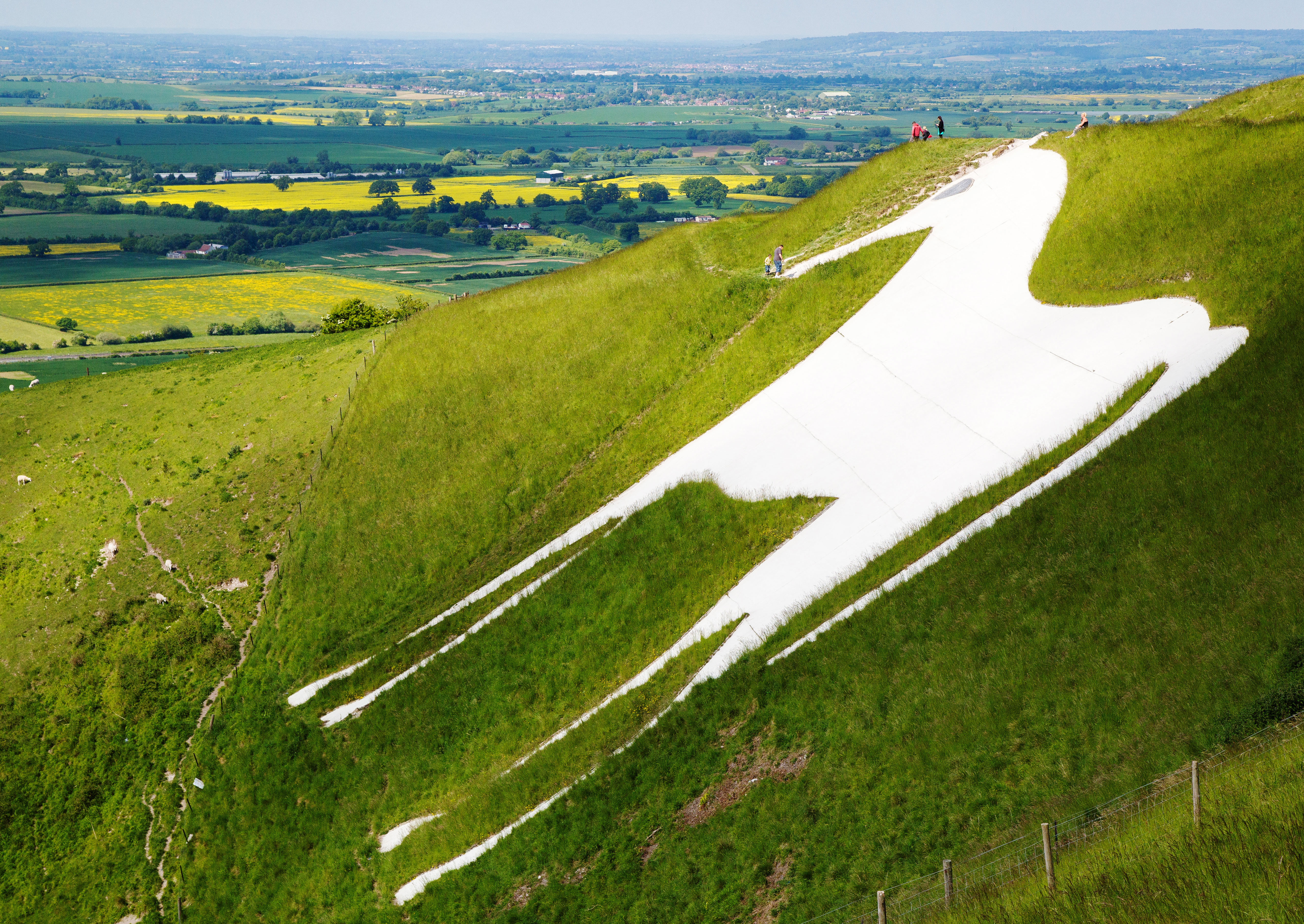 Westbury White Horse and the earthworks of Bratton Camp on the Wiltshire Downs near Trowbridge UK