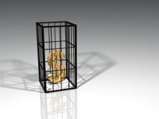 golden dollar sign trapped in a cage