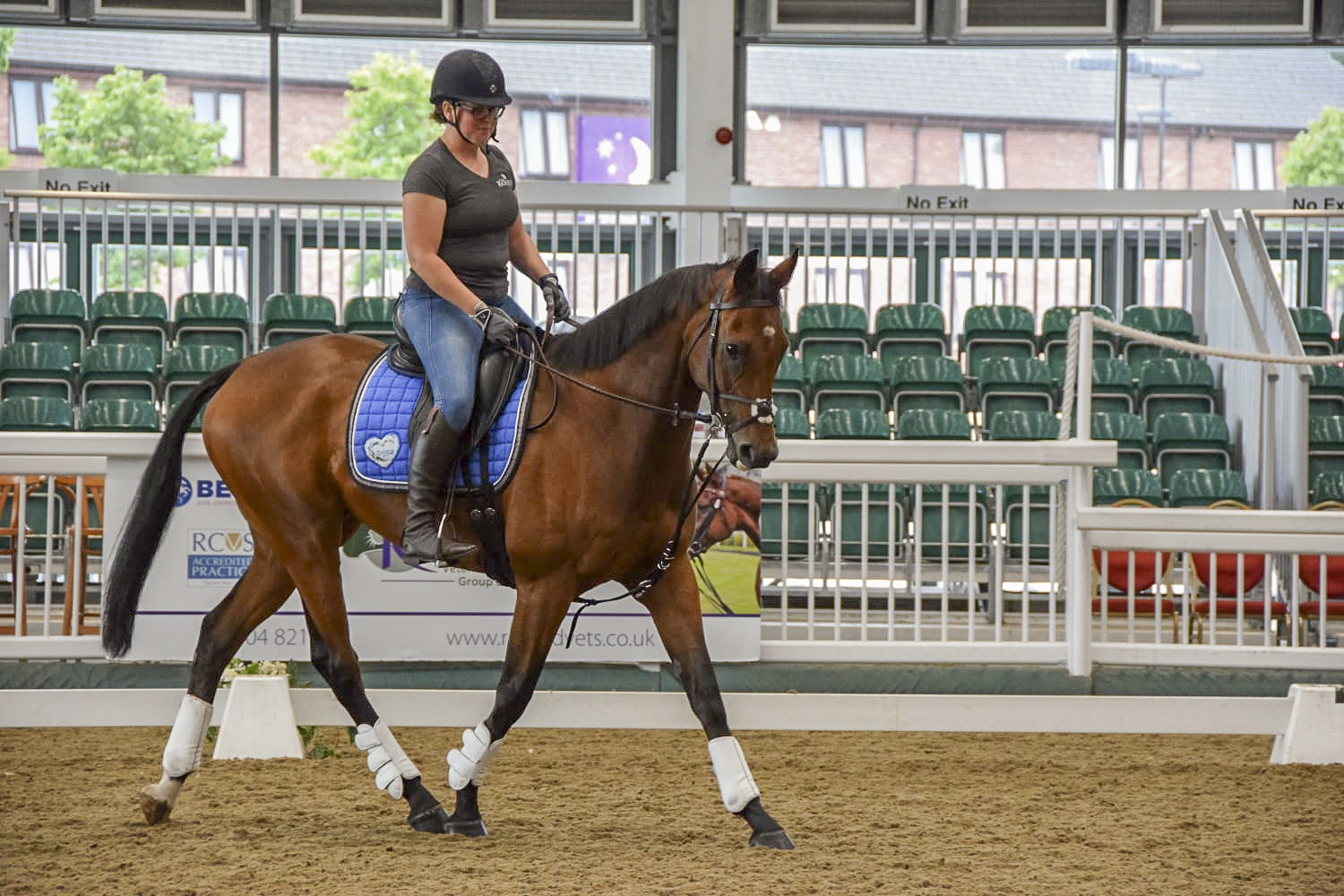 COPYRIGHT-TEAM-CLARE-POOLE-Moon-Racer-Dressage-to-Music-Demo-and-Camp.jpg