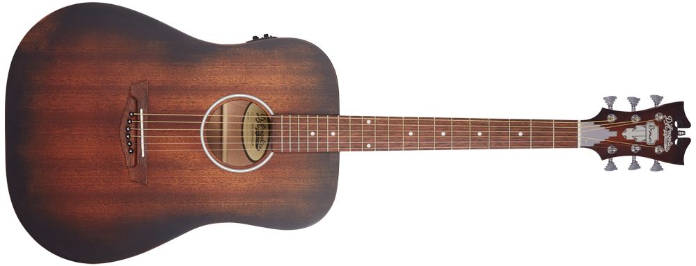 D'Angelico Premier Series LS acoustic