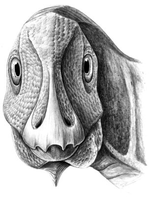 An illustration showing a young dwarf duck-billed dinosaur (Telmatosaurus transsylvanicus) with a tumor on its lower left jaw.