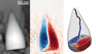 Three images side by side of a tooth-shaped fossil with various colors showing magnetic direction