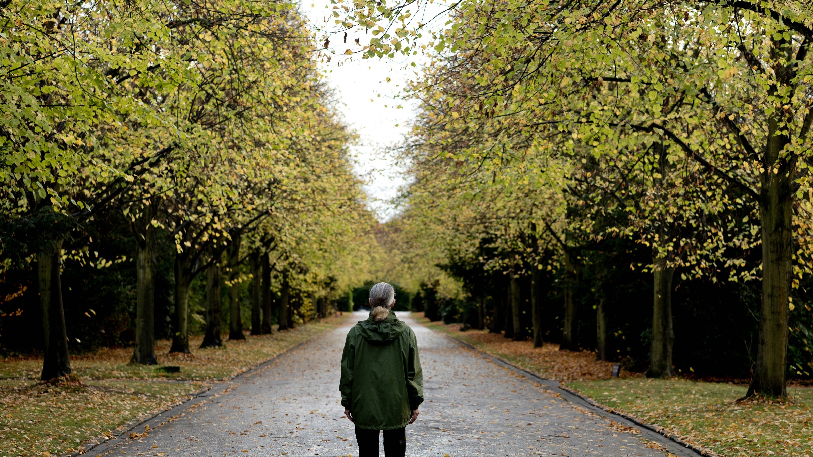 Senior woman standing on footpath amidst autumn trees