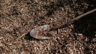 spade in wood chips