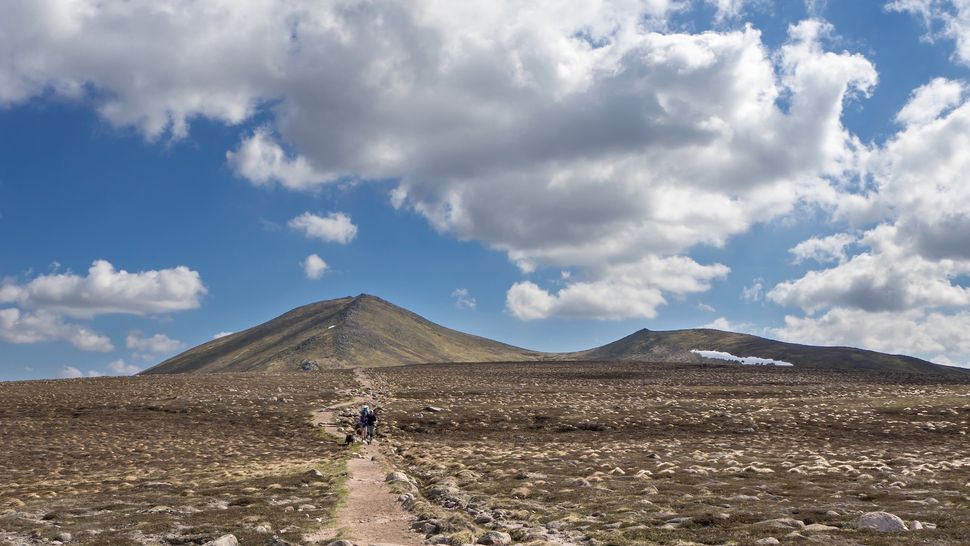 What is a Munro and how do you a Munro bagger? Advnture