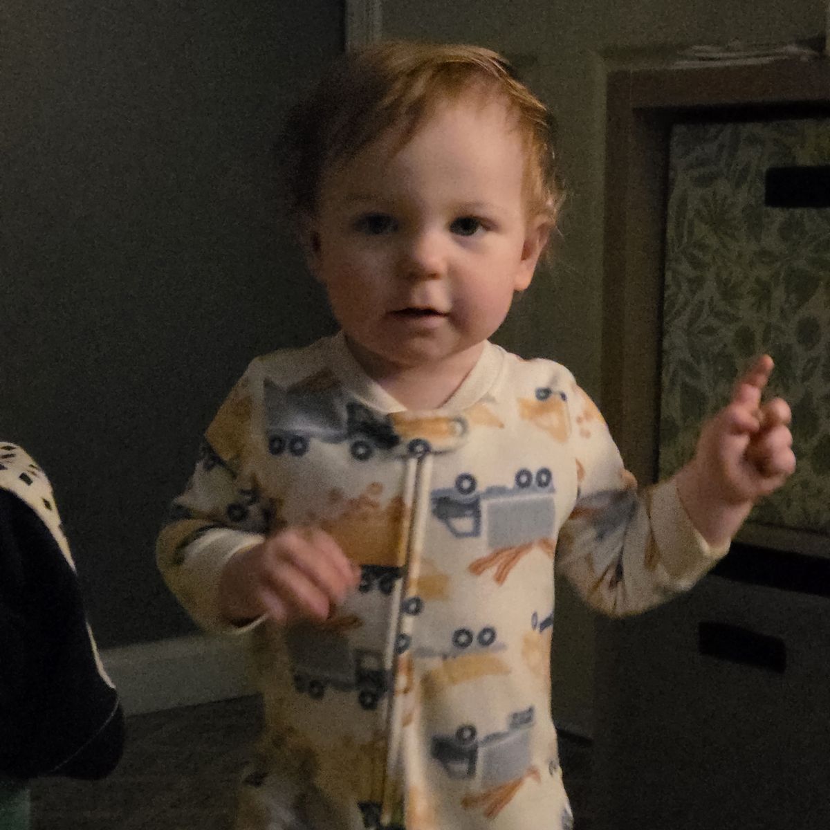 Portrait mode "fail" on Galaxy S25 Ultra