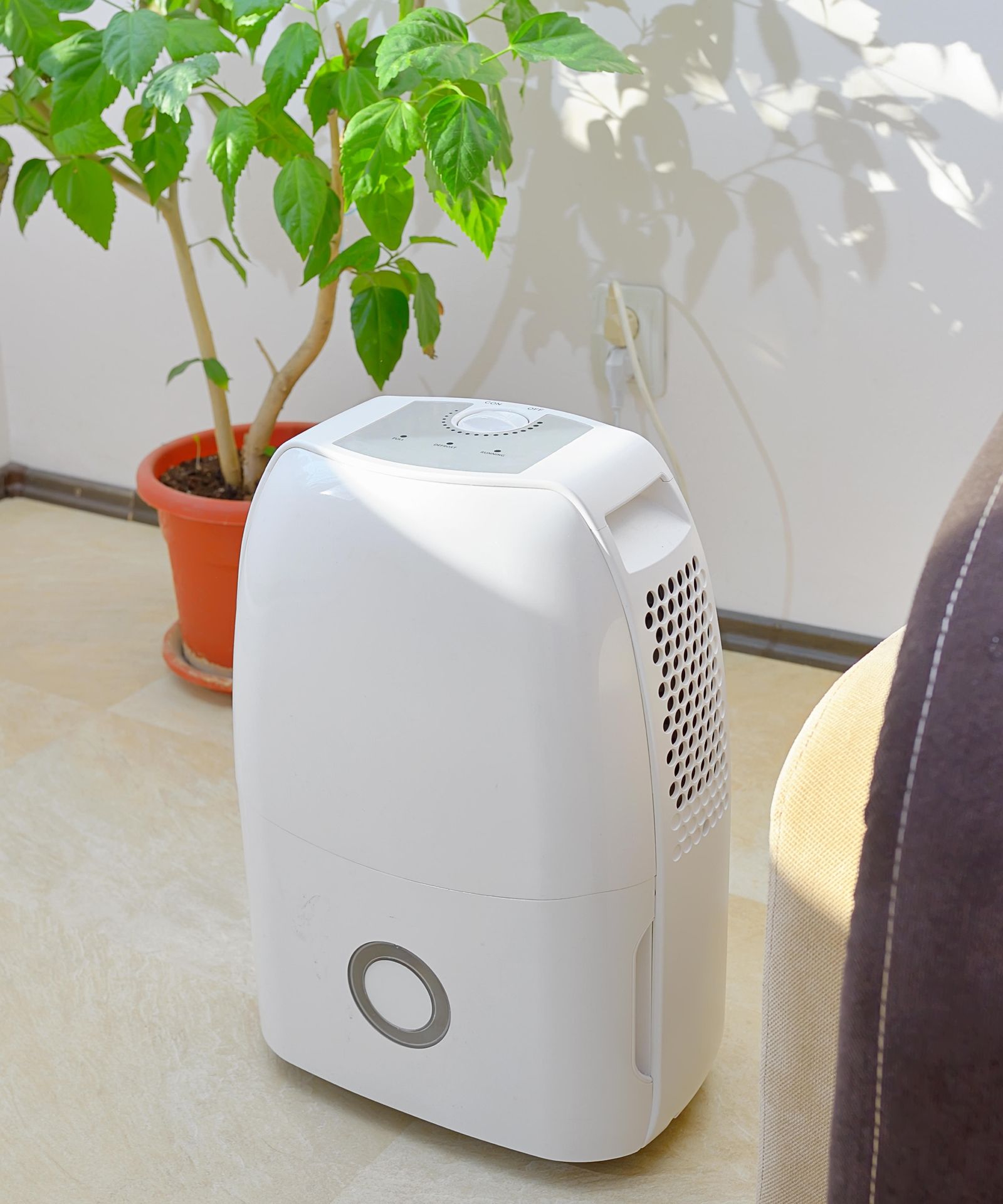 How Much Does A Dehumidifier Cost To Run Per Month How much does it cost to run a dehumidifier? | Homes and Gardens