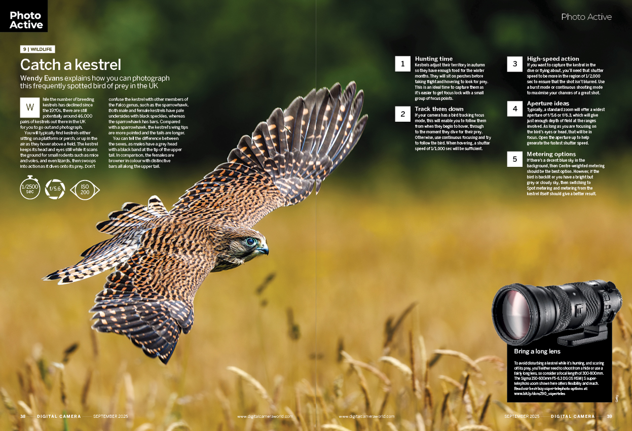 Image showing project 9 of the Photo Active projects section in issue 298 (September 2025) of Digital Camera magazine, explaining how to take photographs of kestrels