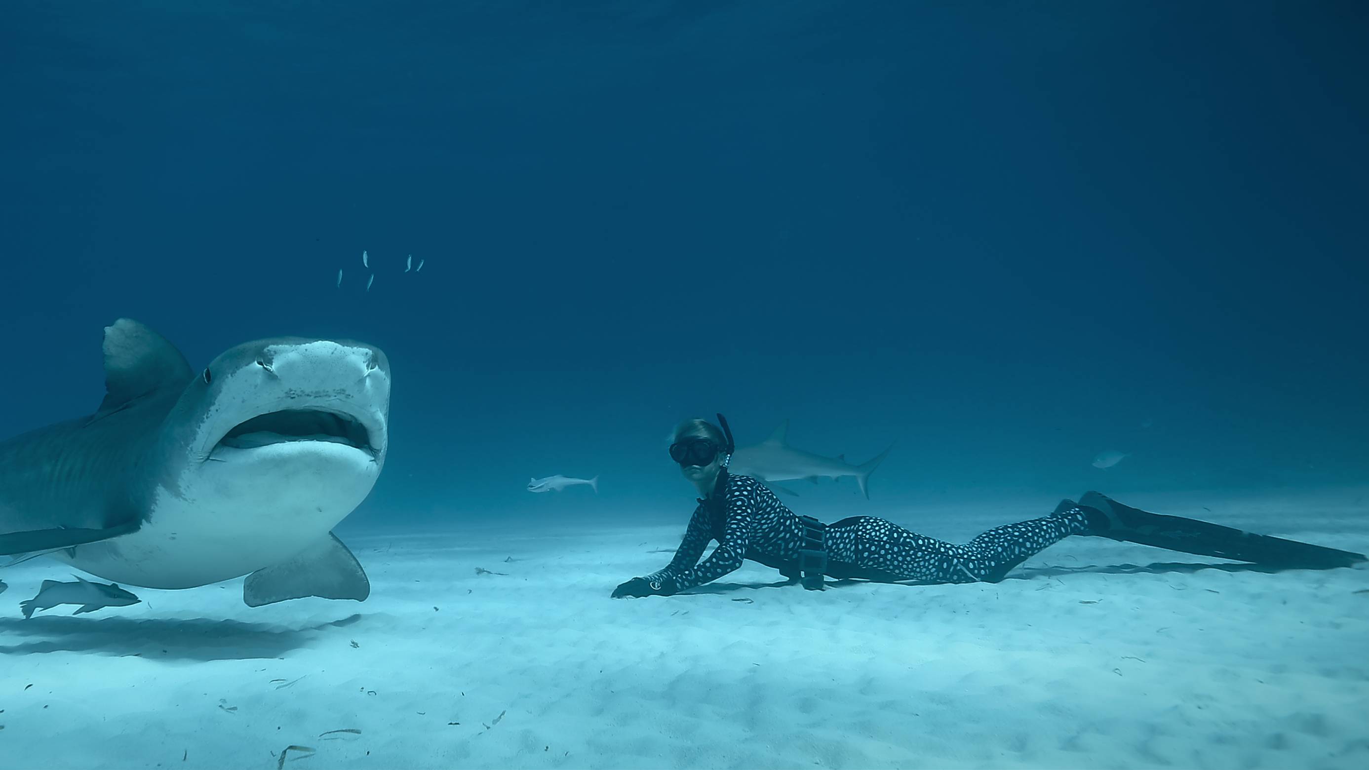 Ocean Ramsey with a shark underwater