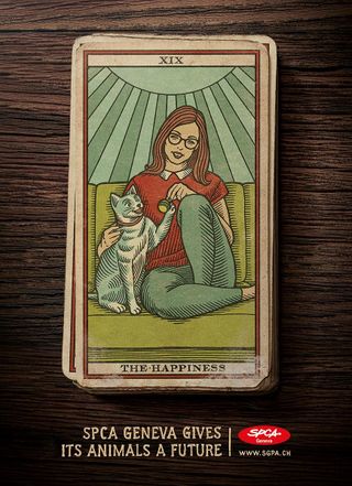 This ad for a cat protection society makes brilliant use of a tarot card motif