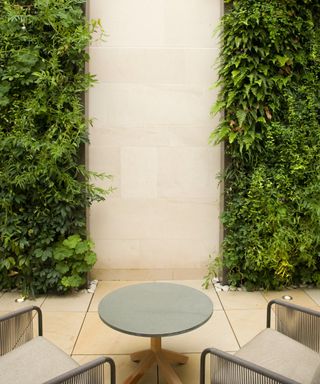 Two vertical plant walls on either side of a stone garden wall.