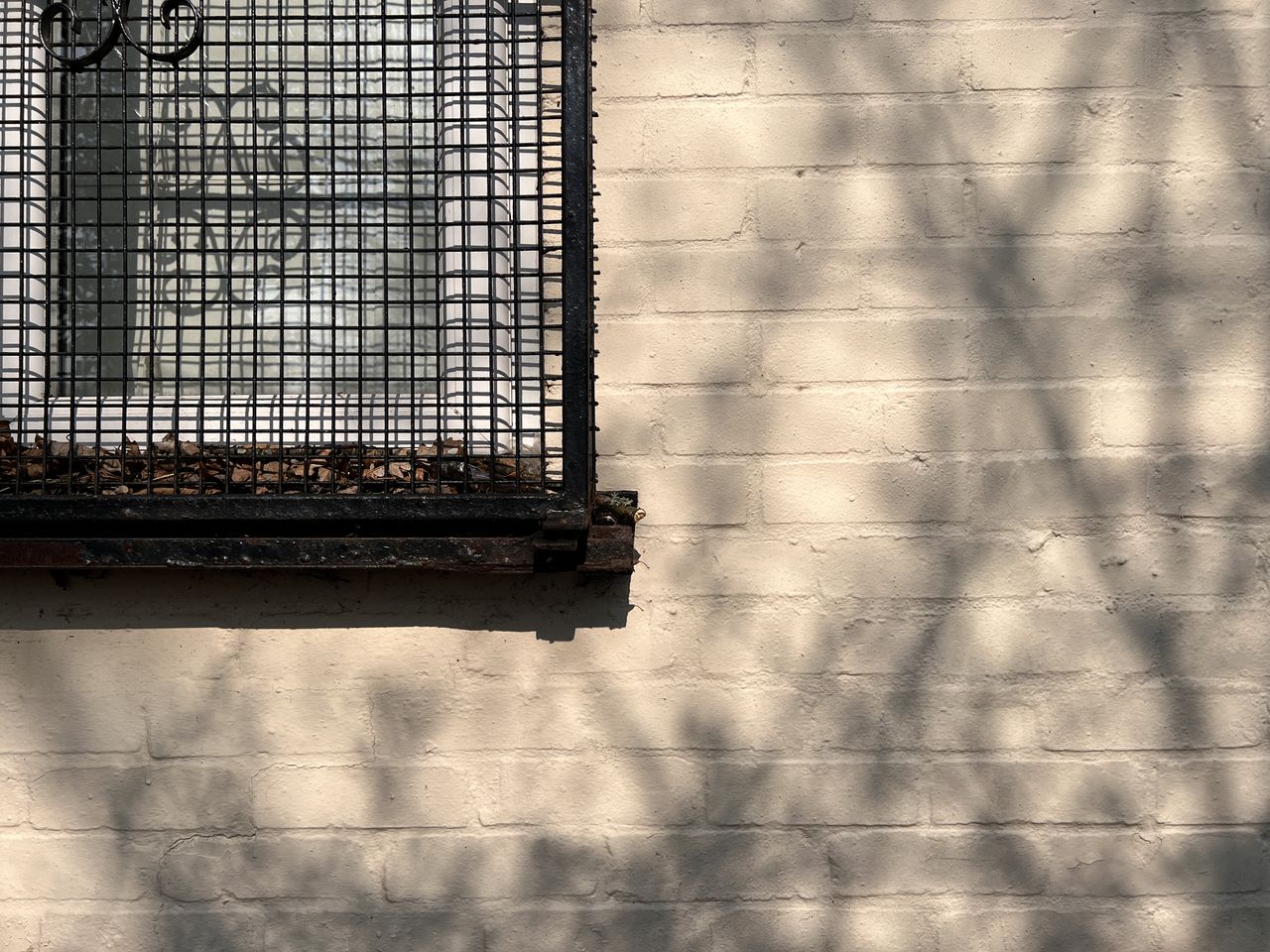 A wall with the shadow of a tree