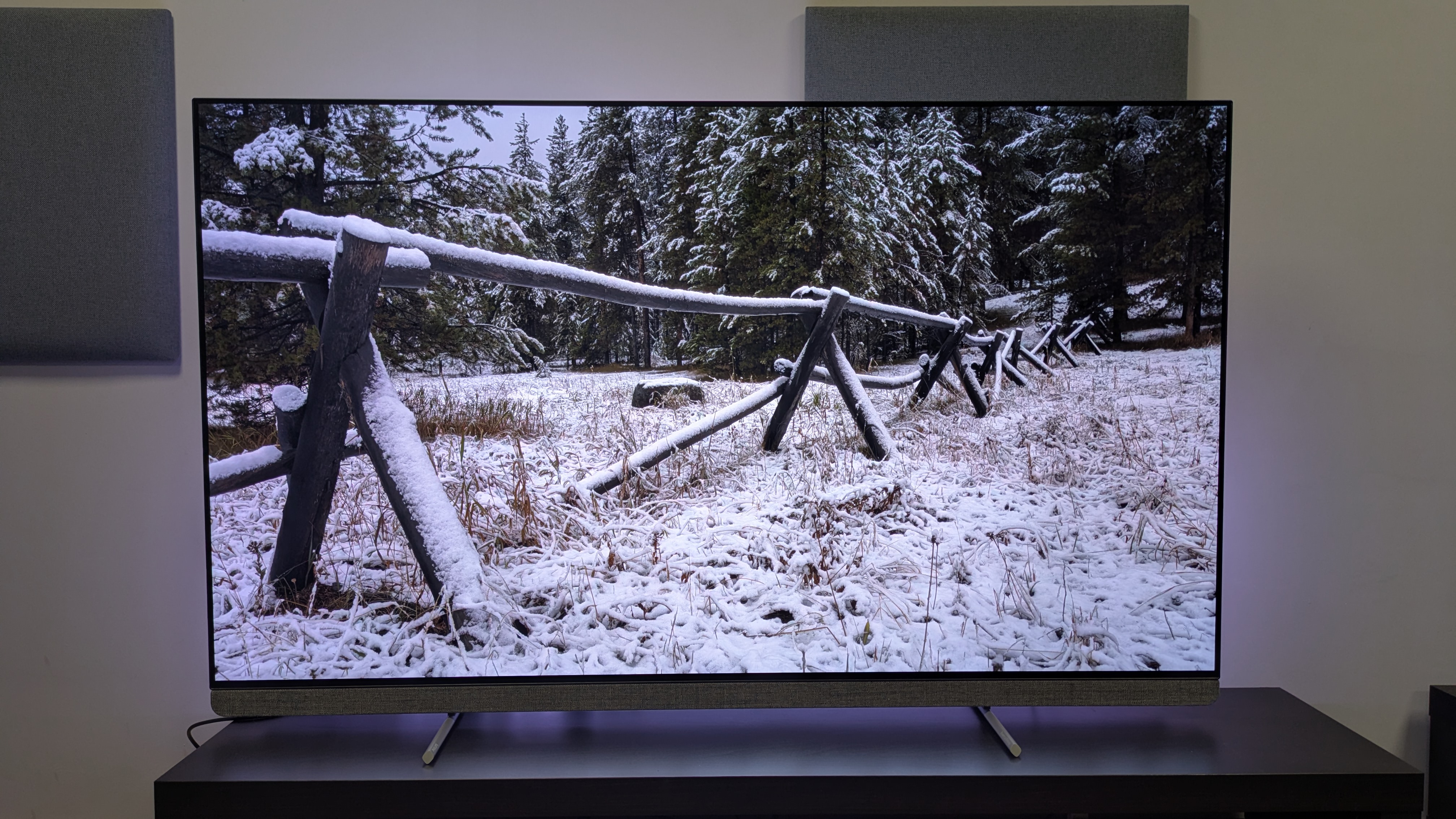 Philips OLED910 with snow covered fence on screen