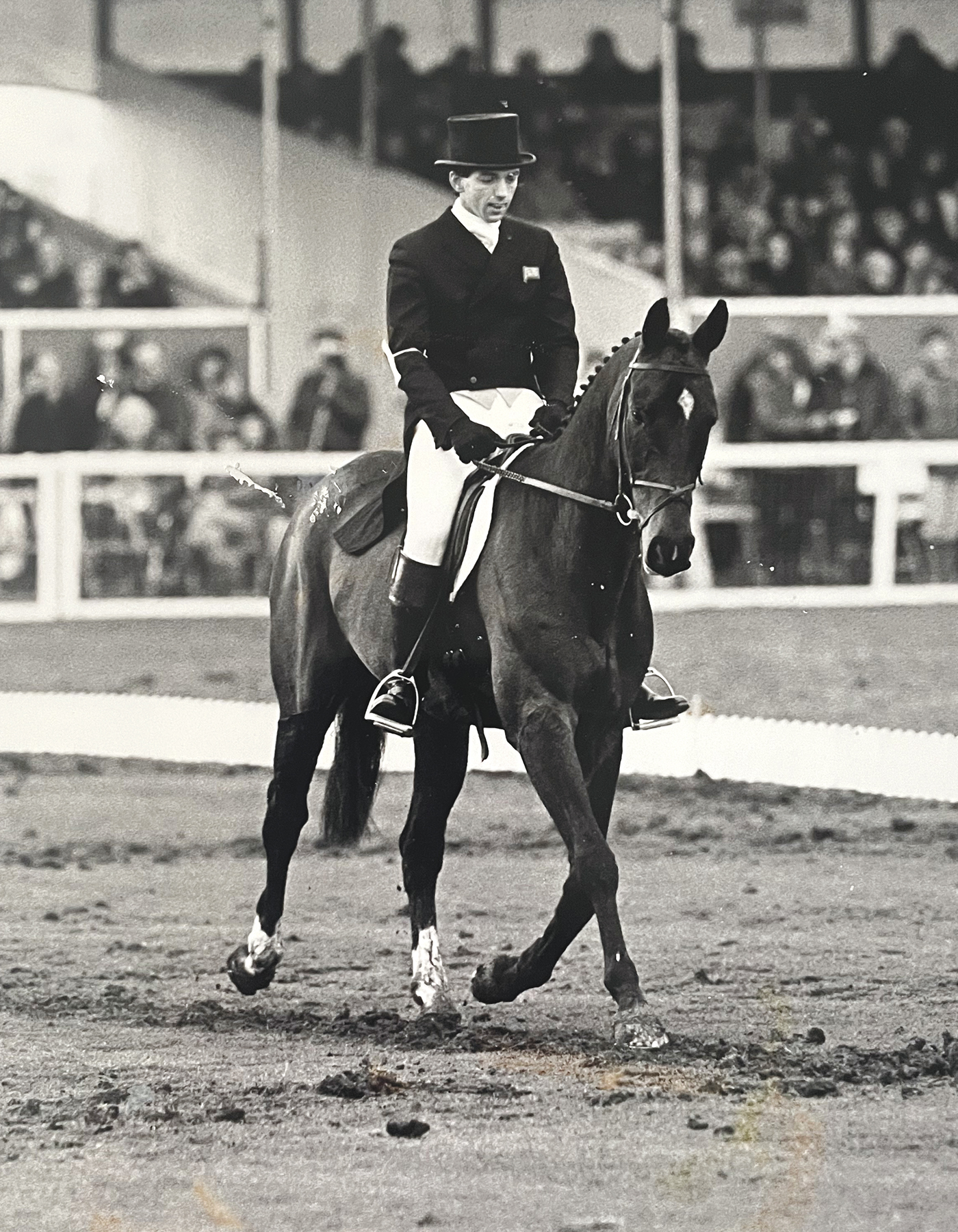HAH311.legendsSirWattie.sir_wattie_ian_stark_badminton_1986_ti_archive.jpg