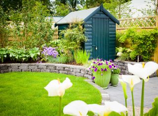 green shed in garden