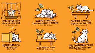 How to read your rebel cat infographic showing six of the 12 common cat behaviours