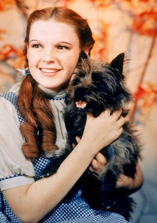 Dorothy & Toto