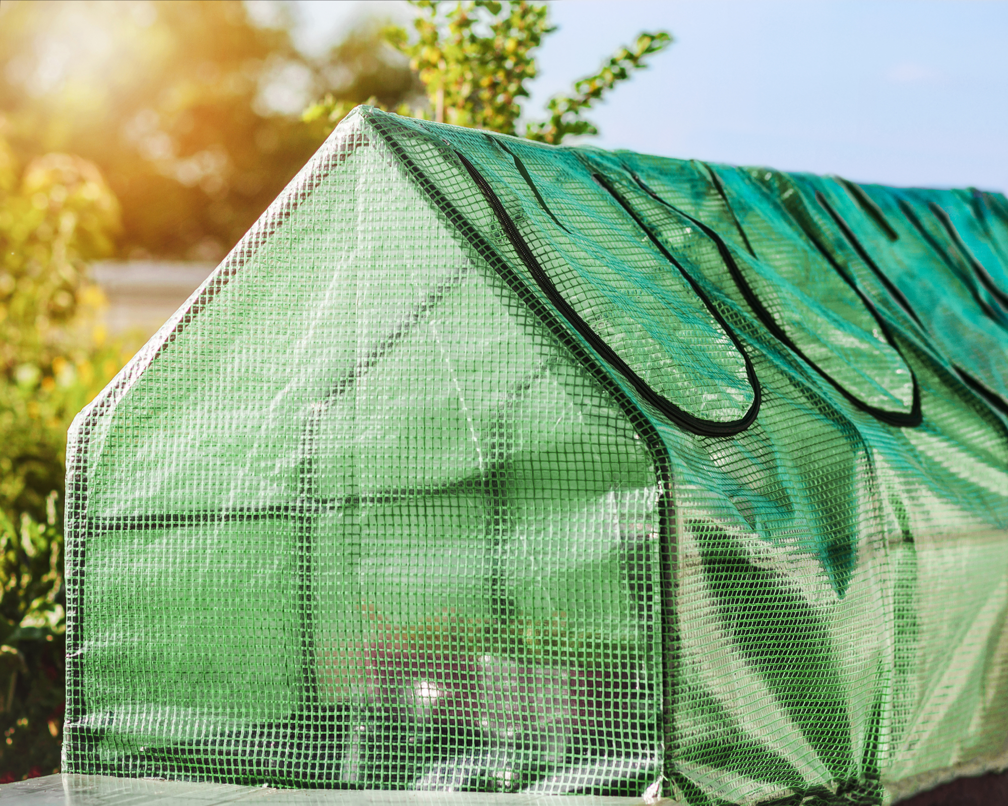 mini pop-up greenhouse on a raised bed