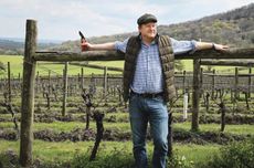 Dermot Sugrue of Sugrue South Downs