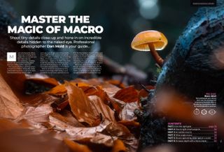 Opening two pages of the macro cover feature of Digital Camera issue 287, November 2024