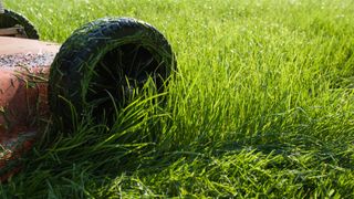 A close up shot of a lawnmower cutting wet grass