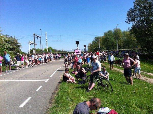 Crowds