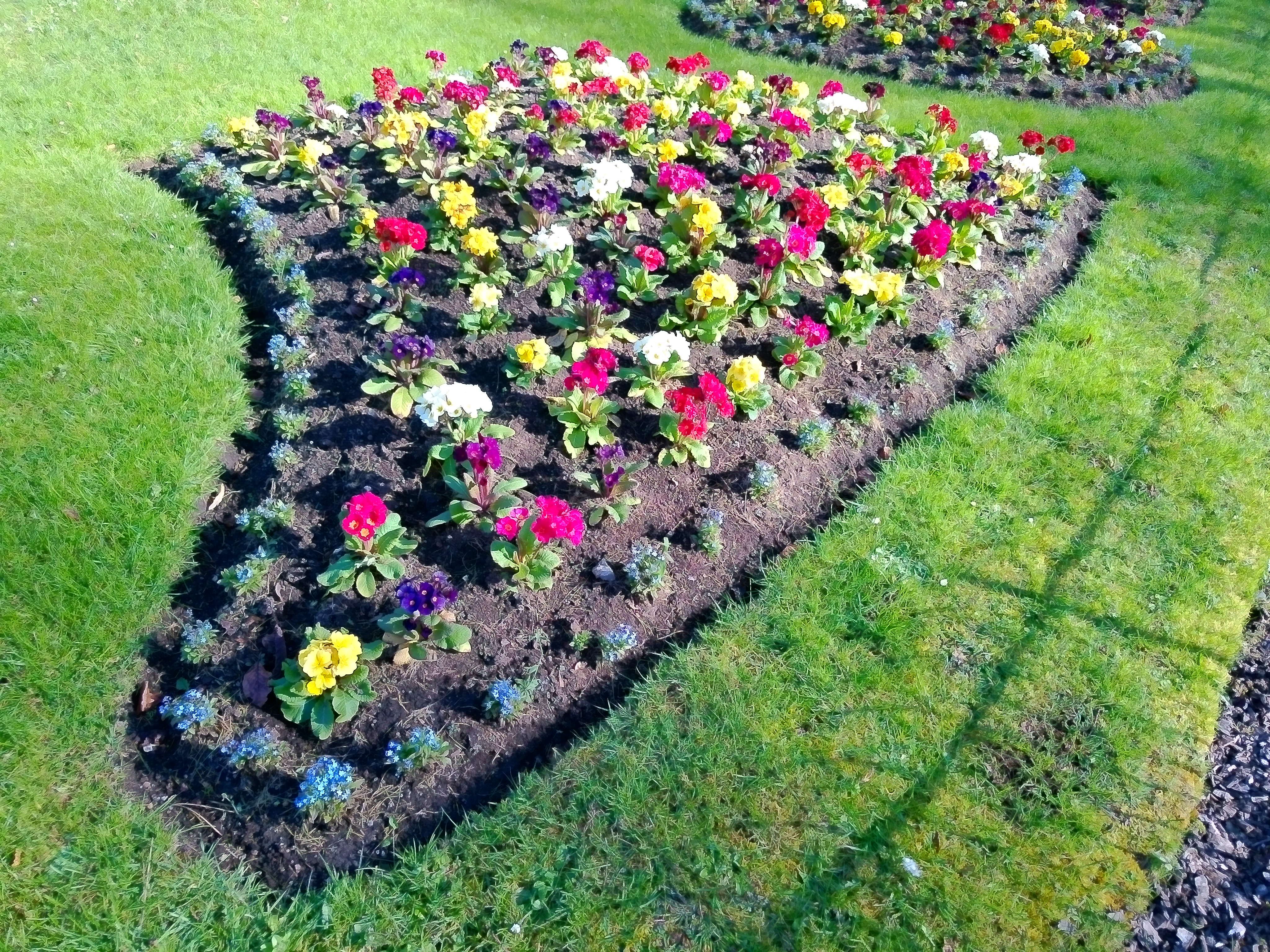 Yashica FX-D 300 example shot