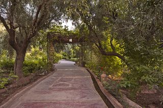 The Beldi Country Club garden in Marrakesh, photographed by Alessio Mei