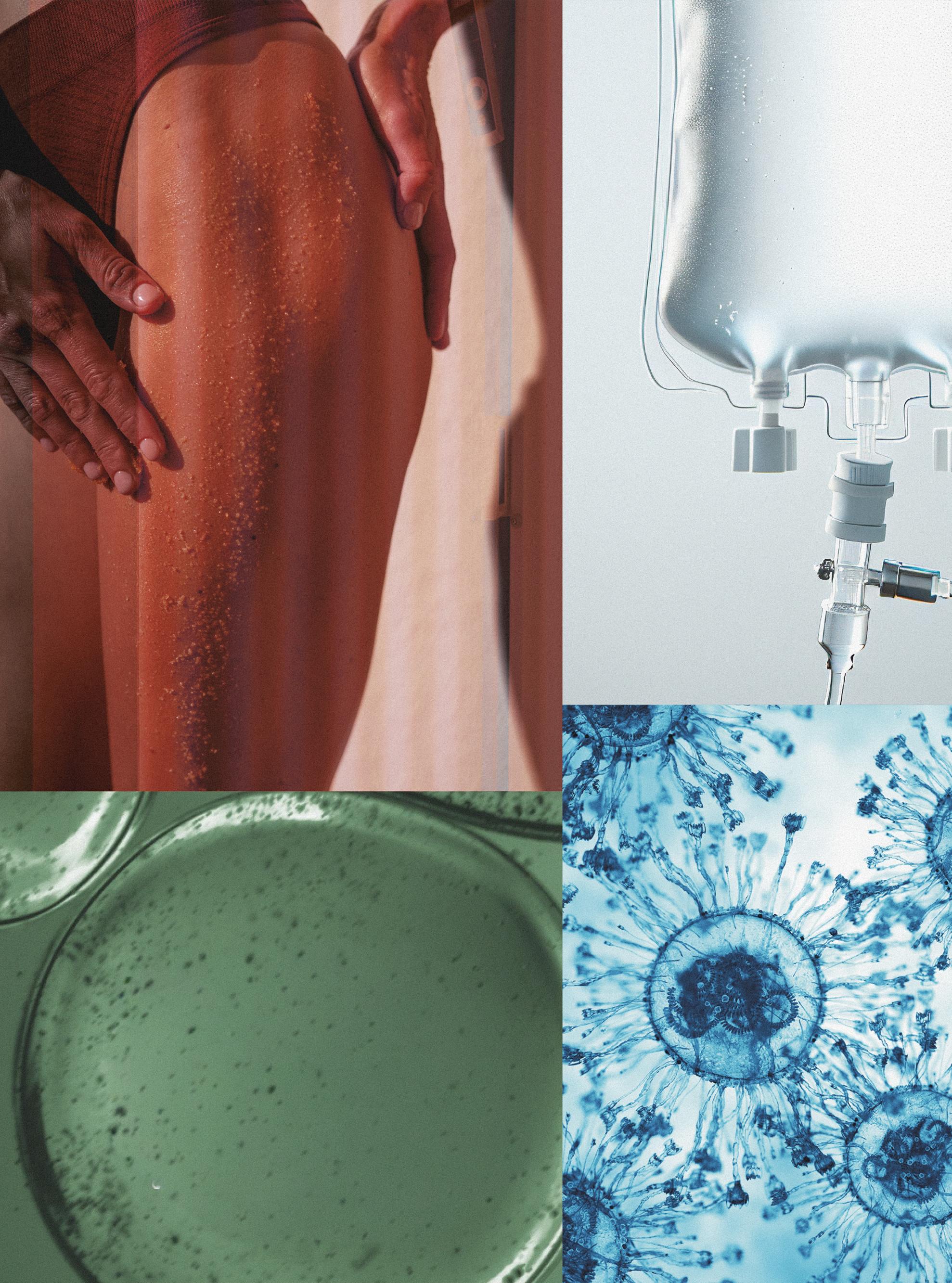 The Road To Immortality &amp;ndash; Inside the Elite World of Life Extension