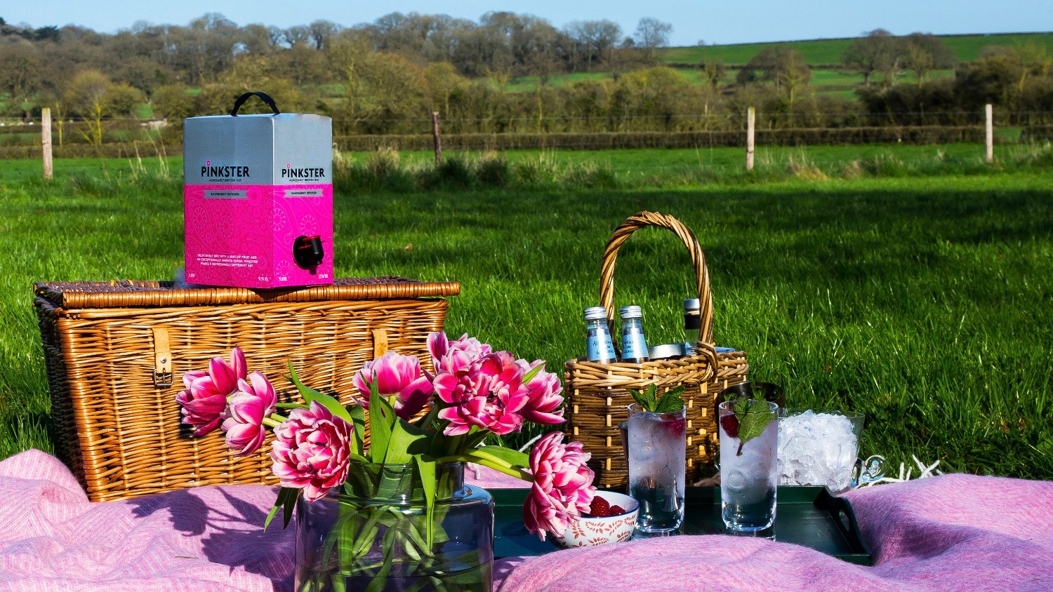 pinkster-on-tap-picnic2-edited-1585133646-O6Sa.jpg