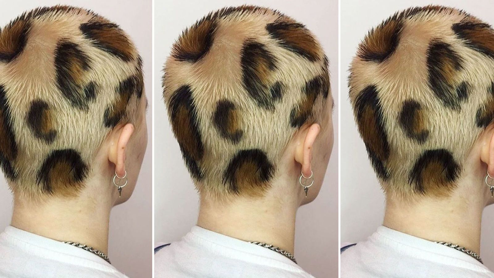 Leopard Print Hair - Leopard Print Dye Job