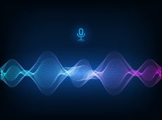 Voice recognition software