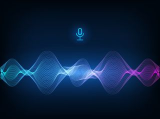 Voice recognition software 