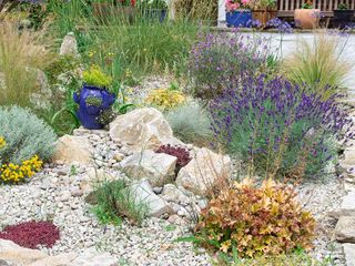 A rock garden with gravel and perennial plants