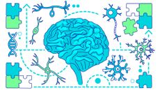 Brain with neurons and puzzle pieces