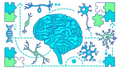 Brain with neurons and puzzle pieces