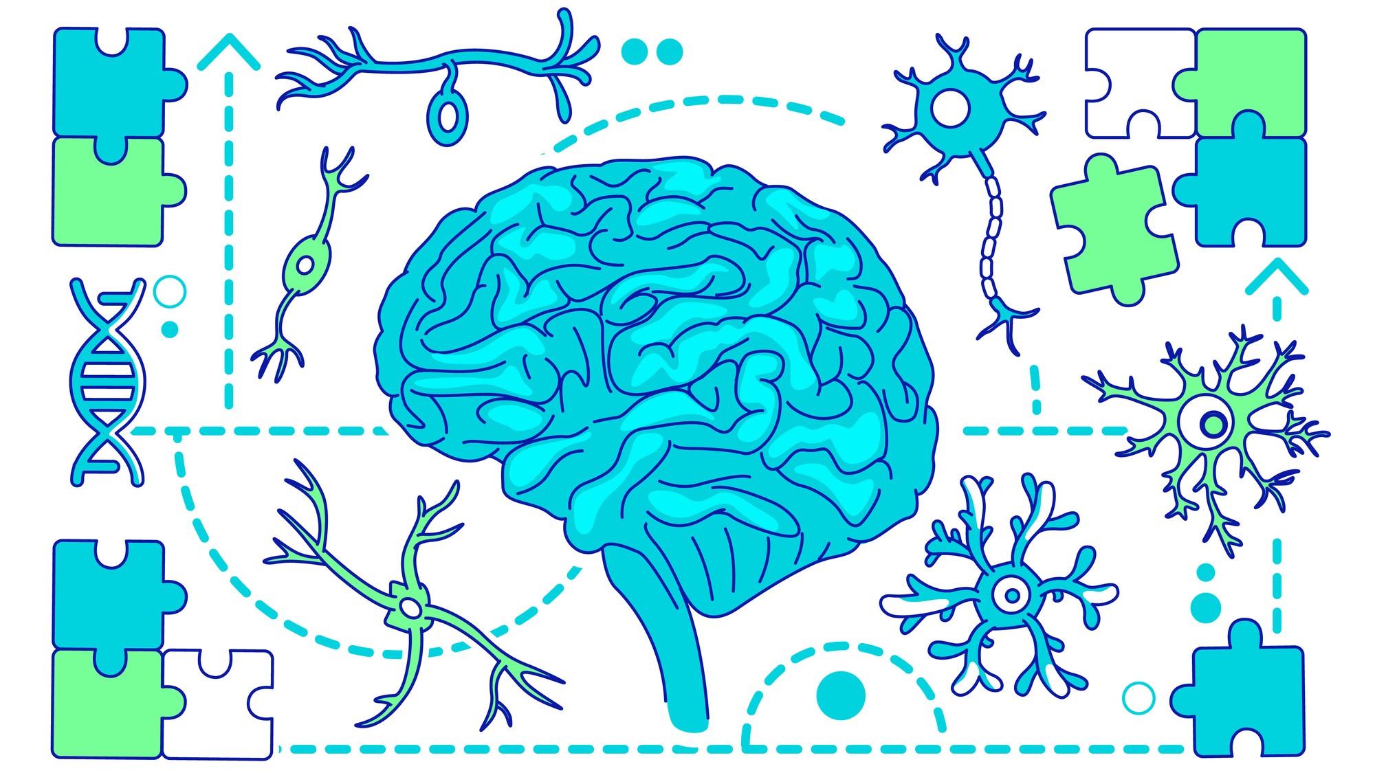 Brain with neurons and puzzle pieces