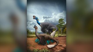 An oviraptorid dinosaur broods on its blue-green eggs with its mate nearby in what is now the Jiangxi Province of southern China.