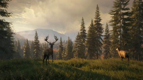 hunter call of the wild strategy hunter call of the wild strategy