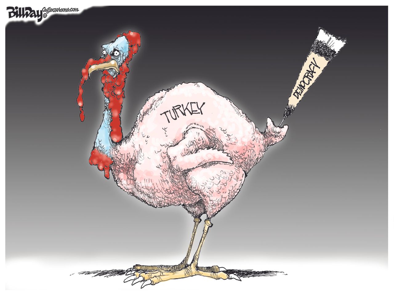 Political Cartoon World Turkey presidential election democracy Erdogan